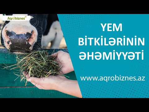 Yem bitkilərinin təsərrüfatlarda əhəmiyyəti