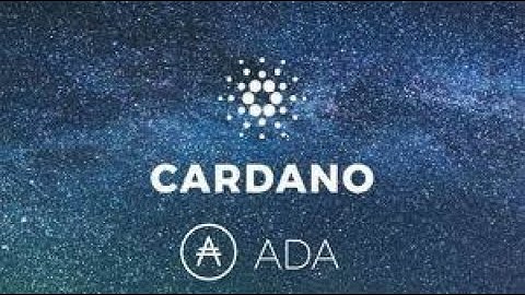 CARDANO PROJECT CATALYST CLOSEOUT REPORT VIDEO PROJECT ID 800027