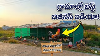గ్రామాల్లో బెస్ట్ బిజినెస్ ఐడియా! /Small Poultry Shed Tour | Best Business Idea for Village 