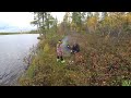 ПОХОД В ЛЕС С СЫНОМ. РЫБАЛКА И ТИХАЯ ОХОТА. РАЗВЕЛИ КОСТЕР, ПОПИЛИ ЧАЙ...
