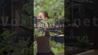🎙️ Professional Mandarin Chinese Voice-Over Services | Native Chinese Voice Talent screenshot 4