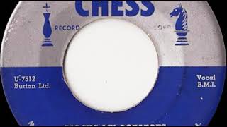 Washboard Sam - Diggin' My Potatoes
