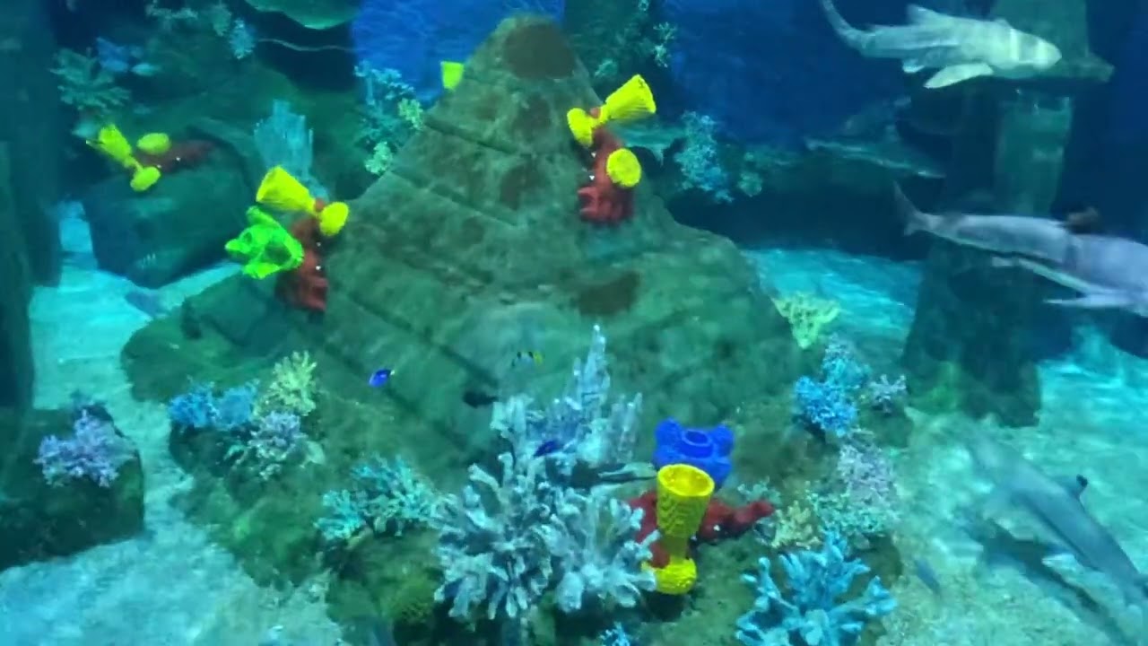 Deep Sea Adventure at LegoLand POV