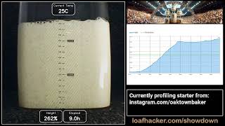 Sourdough Starter Showdown: oaktownbaker (*FULL* profiling session)