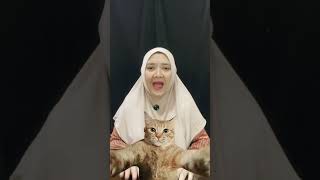 KUCING JELEK VS KUCING GANTENG😁😅 #humor #hiburansegar #comedy #funny #shorts
