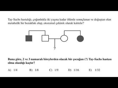 En Baba Kalıtım Sorusunun Basit Çözüm Yolu