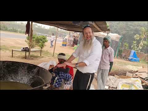 קני סוכר, גידול קני סוכר, מה עושים עם קני סוכר, הודו, הרב יוסף דורפמן, Rabbi Yosef Dorffman