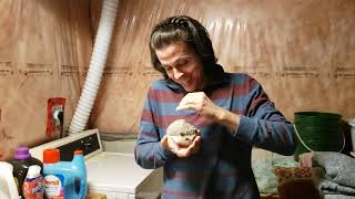 Shymon Appliance Repair - The Best Review From The Hedgehog