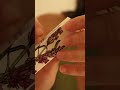 ASMR scratching 📦