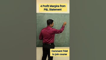 4 Profit Margins from P&L Statement