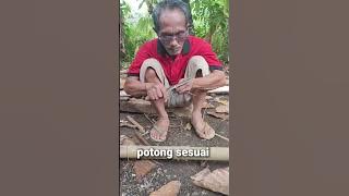 Cara membuat toet-toet