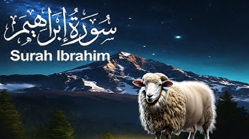 Surah Ibrahim سورة إبراهيم | Relaxing heart touching voice | Arabic Text (HD) Quran True Benefits