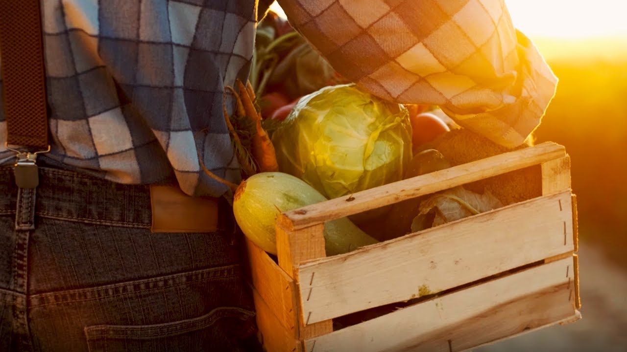 "What does it mean to be a farmer?" YouTube