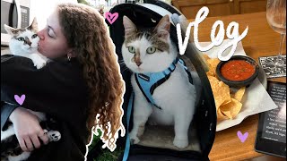 LA VLOG! outings with molly, fav trader joes snacks, ACOMAF book thoughts, and more!!