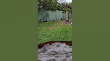 32 feet no spin axe throw