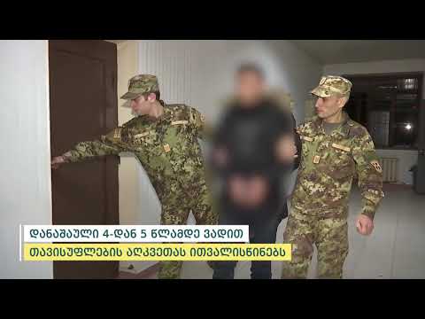 სახელმწიფო საზღვრის უკანონოდ, ჯგუფურად გადაკვეთის ბრალდებით დაკავებულია თურქეთის ორი მოქალაქე