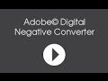 Adobe Digital Negative Converter Software