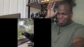 98% LOSE Try Not to LAUGH Challenge IMPOSSIBLE |😂 Best Memes Compilation 8/1/2022 🤣| Reaction!