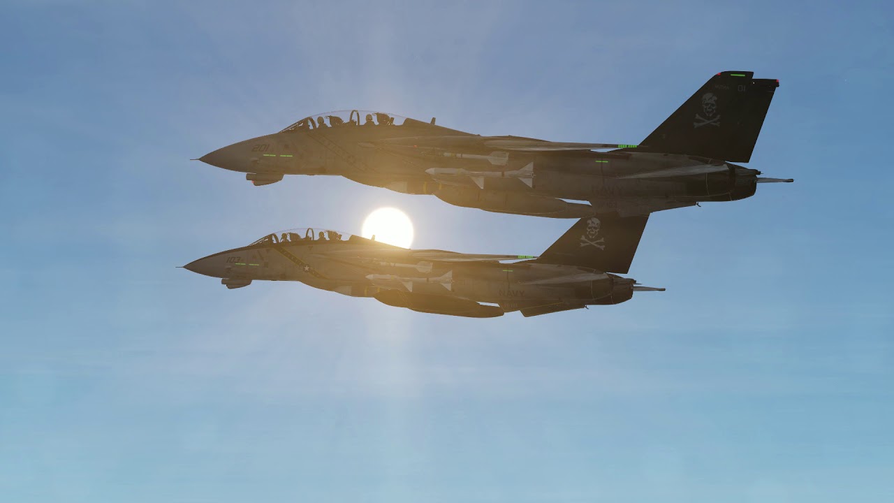 dcs world f14