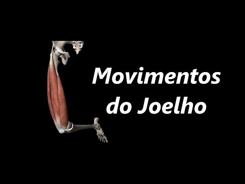 Movimentos do Joelho