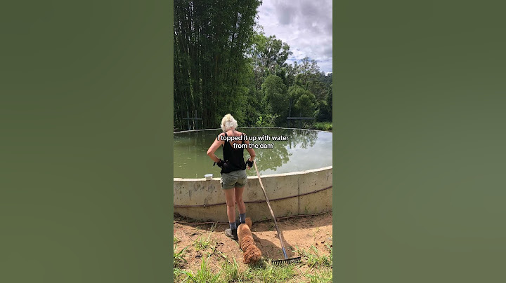 How I Built My Sustainable Natural Pool