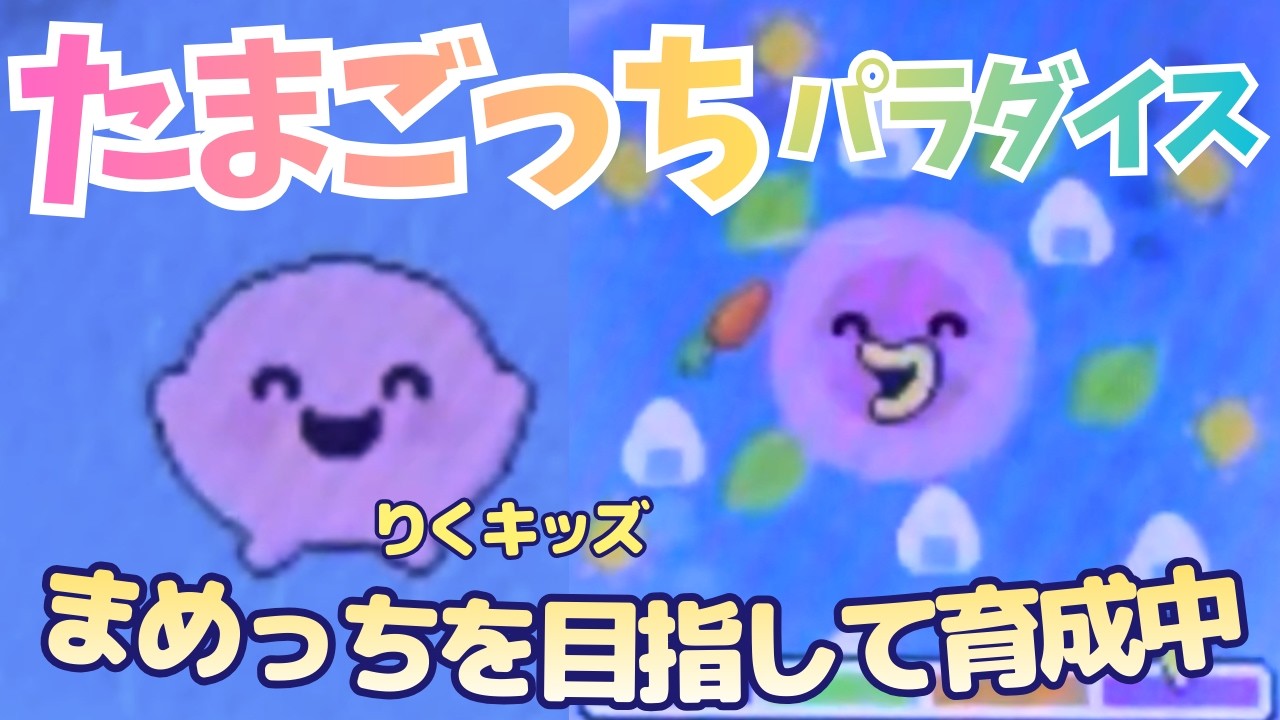 【たまごっちパラダイス】お世話ミス0回まめっちに挑戦！