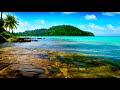 Tropical Palm Trees Beach Waves on Rocks. Ocean Waves, Nature Sounds, Ocean White Noise for Sleeping