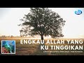ENGKAU ALLAH YANG KUTINGGIKAN - INDRI SUMARAW (Official Music Video)