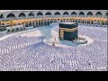 تلاوة للقارى سعود الفايز سورة القيامة 