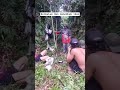 survival buschraft mancing dan menombak ikan masak porsi jumbo🤤 #bushcraft #survival #shorts