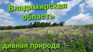 Красоты Владимирской области