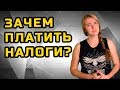 ЗАЧЕМ ПЛАТИТЬ НАЛОГИ? | МеждоМедиа Групп | Конкурс Навального