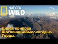 Nat Geo Wild: Дикая природа Шотландии: Высокогорье. Горцы / Wild Scotland. Highlands