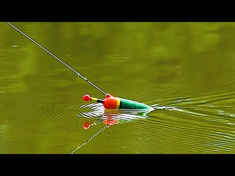 Видео: Переделал поплавочную удочку и наловил рыбы на реке! Рыбалка в красивом месте из детства!