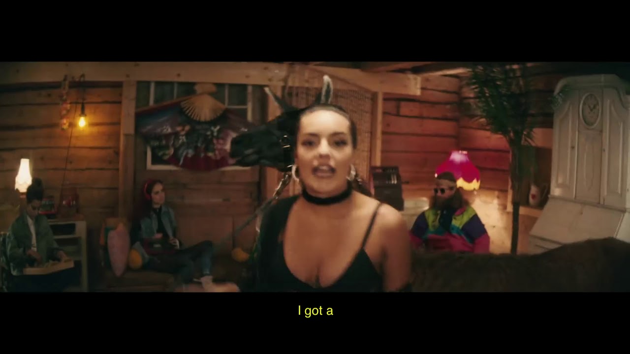 Llama In My Living Room YouTube