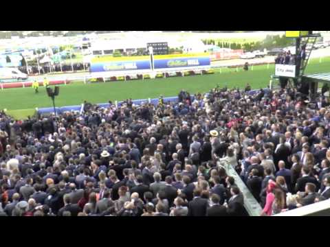 the-crowd-roars-as-winx-dominates-the-2016-cox-plate