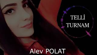 ALEV POLAT /Telli turnam Resimi