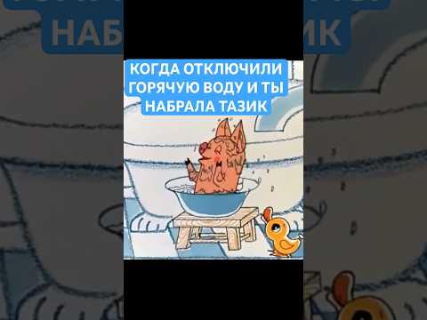 немытая свинота #приколы #юмор #pove #shorts
