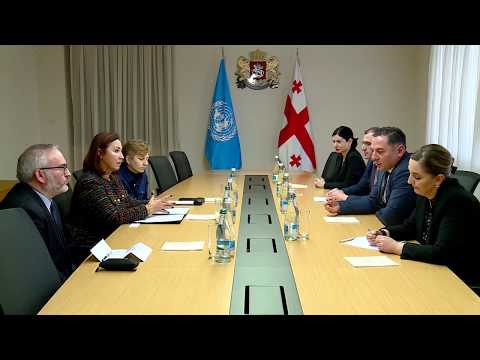 შინაგან საქმეთა მინისტრი მიგრაციის საერთაშორისო ორგანიზაციის მისიის ხელმძღვანელს შეხვდა