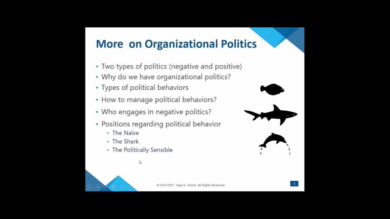 Swim with the Sharks Without Being Eaten Alive YouTube