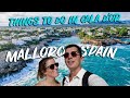 5 THINGS TO DO IN CALA D'OR MAJORCA Spain - (Cala D'or Mallorca Vlog)