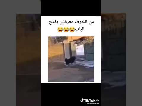 هوووووووو هووووو 