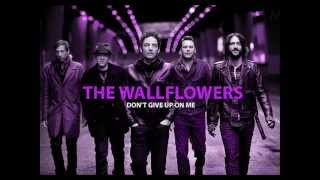 The Wallflowers - Don&#39;t Give Up On Me (iTunes Bonus Track)