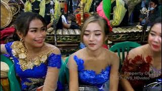 MISTER MENDEM   DEVIN ALROSTA DONGKREK