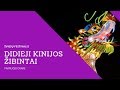 Šviesų festivalis „Didieji Kinijos žibintai" Pakruojo dvaras