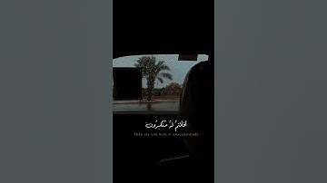 القرآن راحة ومواساة لقلبك 💚 أجمل تلاوة بصوت : إسلام صبحي 🌿 تريح الفؤاد 😌❤️ حالات واتس