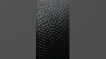 Black Reptile Print Sides - Link in Description