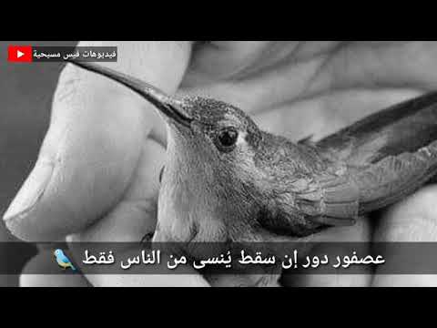 فكيف ينسانى