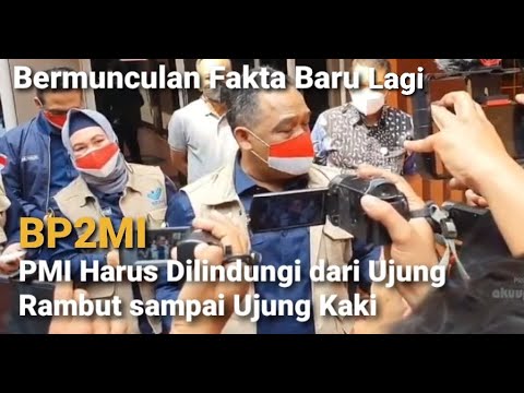 Video: Menyokong Akses Kepada Penjagaan Kesihatan Untuk Pelarian Dan Pendatang Di Negara-negara Eropah Di Bawah Tekanan Migrasi Tertentu