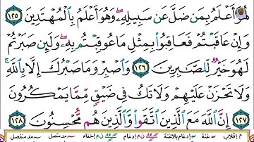 (29) تلاوة بصوت القارئ هزاع البلوشي سورة النحل، الآيات: 125-128 آخر السورة